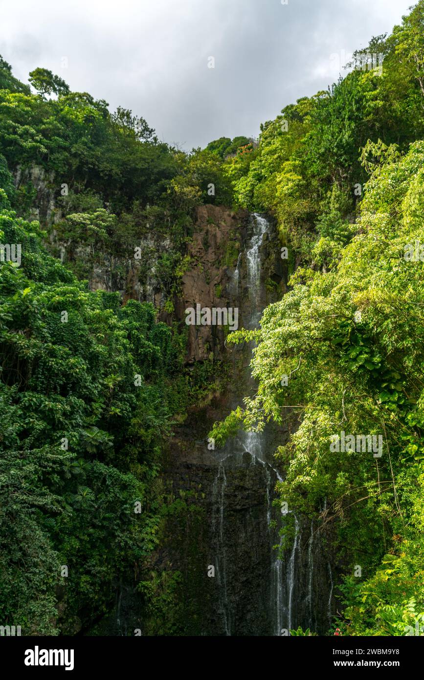 Woody Harrelson's Sustainable Jungle Paradise in Maui: A Haven for Nature Lovers