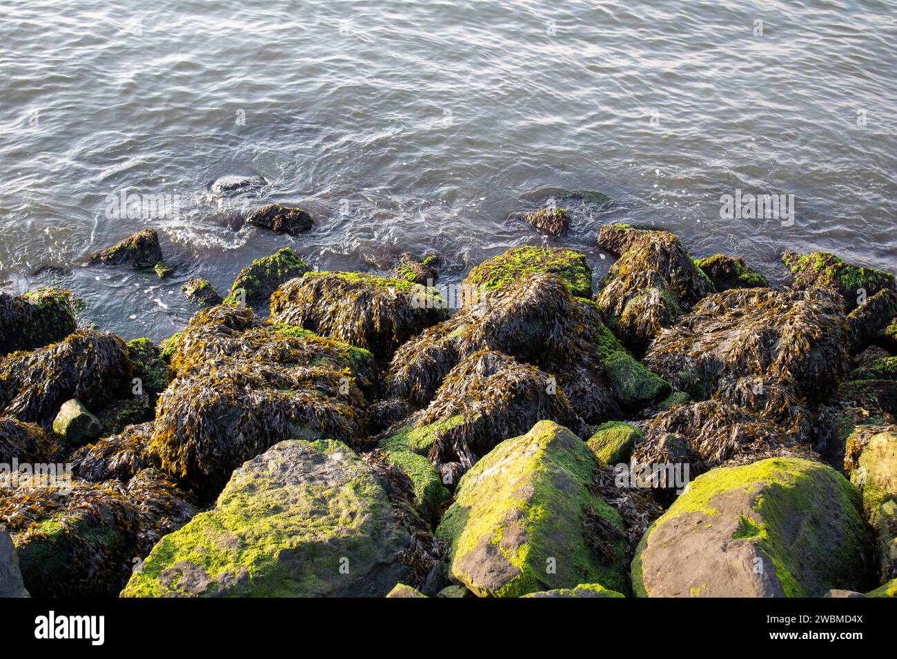 A picturesque coastal scene featuring large moss covered rocks at the edge of the ocean, with the waves gently lapping against them Stock Photo