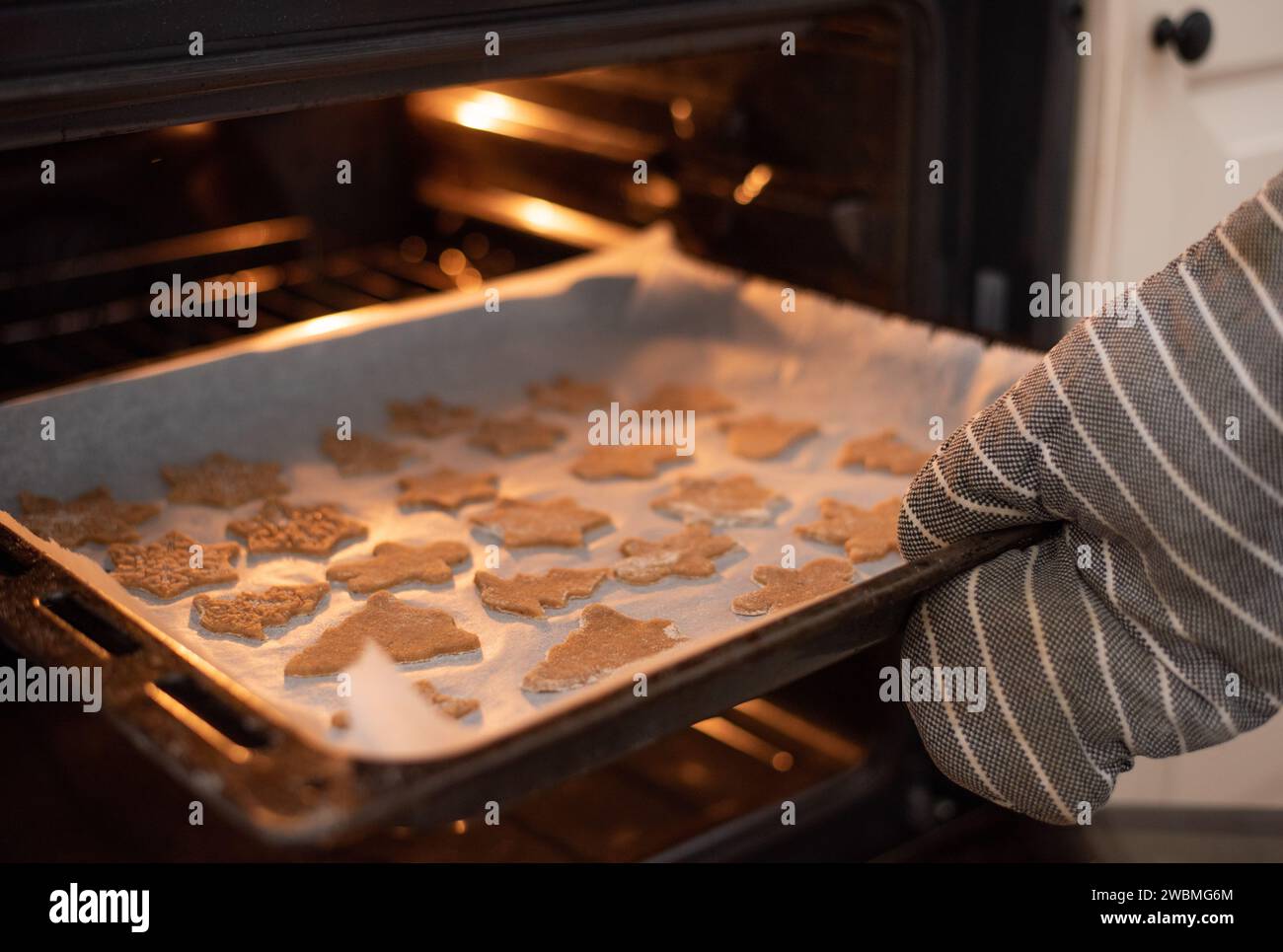 Young adult woman baking homemade chocolate chip cookie in modern kitchen oven Stock Photo