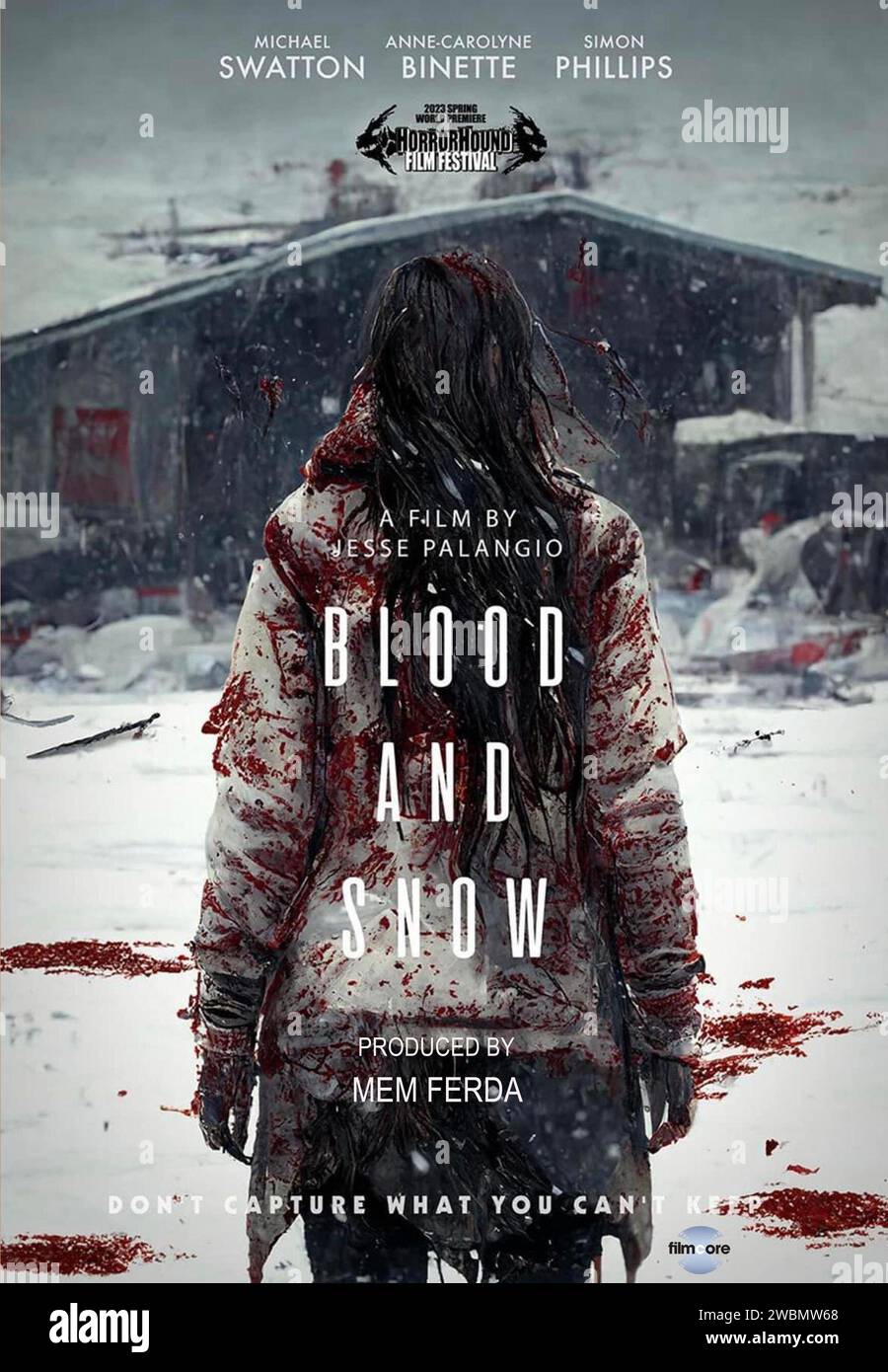 Blood and Snow Stock Photo