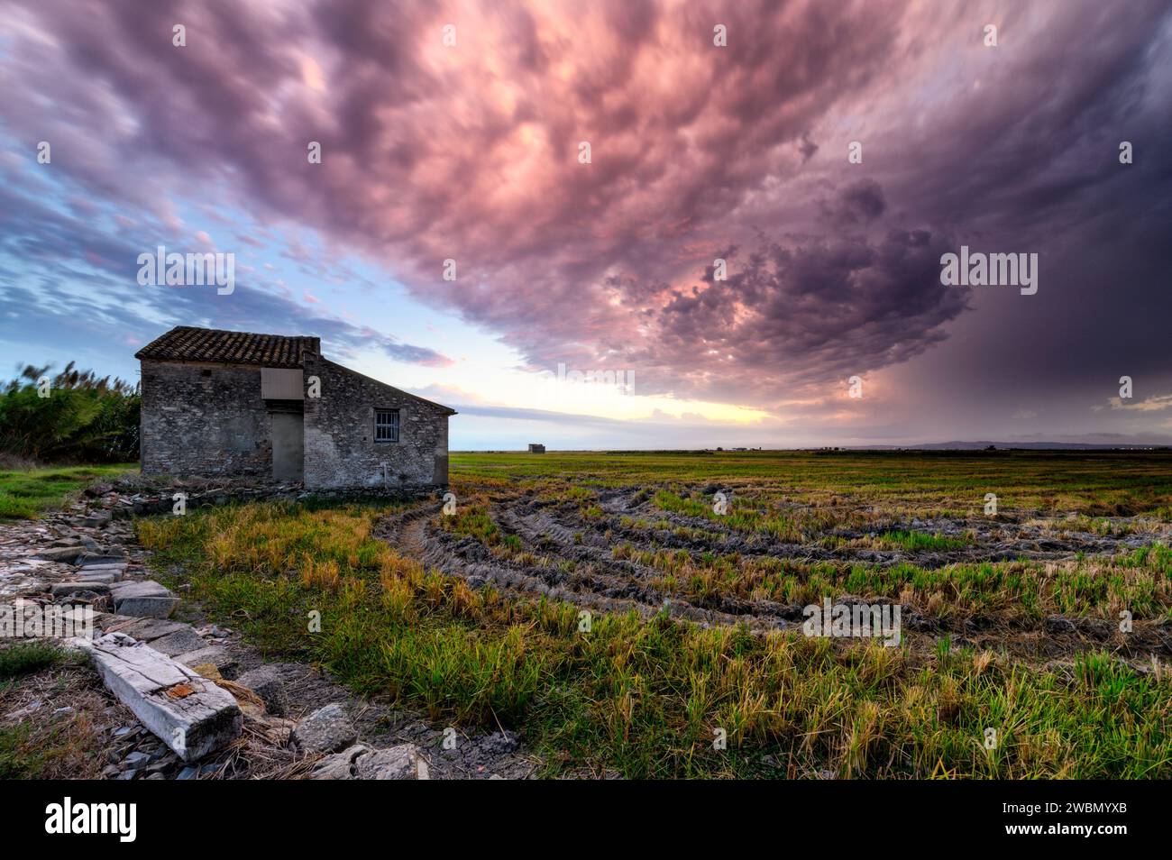 Sunset in the green rice fields near Valencia, Spain, with a rural cottage and spectacular stormy sky. Stock Photo