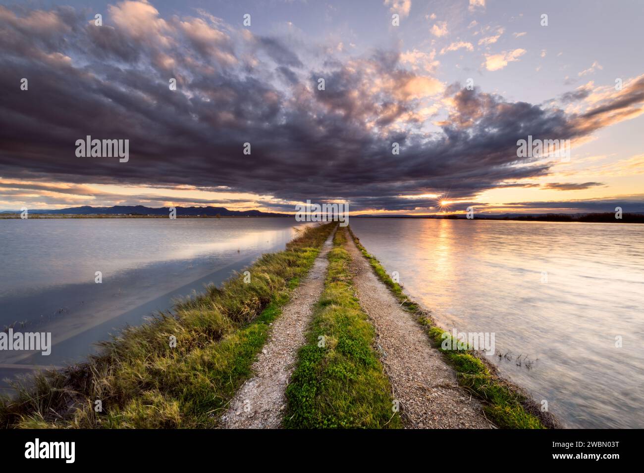 Landscape with a great depth flooded rice fields on both sides and rural road in the center of the composition to the horizon, Sueca, Valencia, Spain Stock Photo