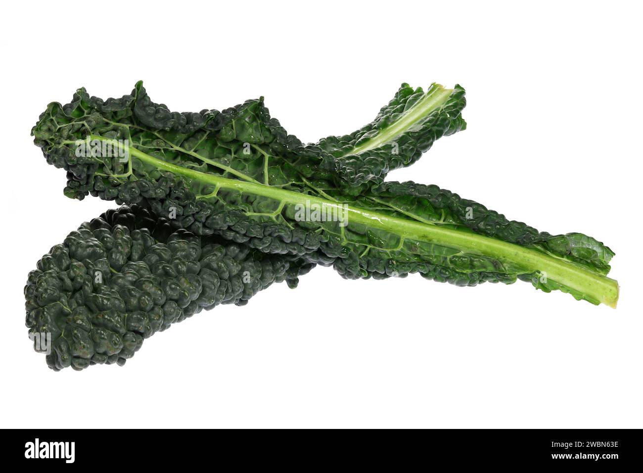 palm kale isolated on white background Stock Photo