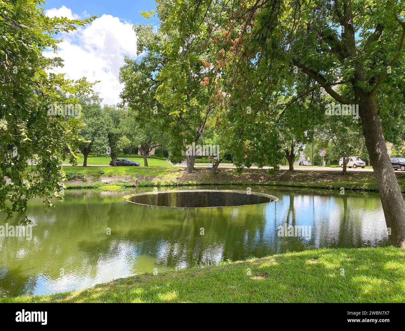 A serene pond nestled in a lush forest, framed by towering trees on ...