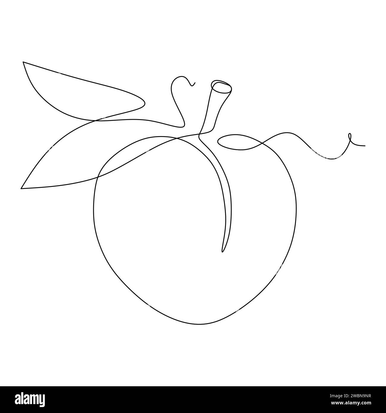 Continuous one single line drawing of peach fruit icon vector illustration concept Stock Vector