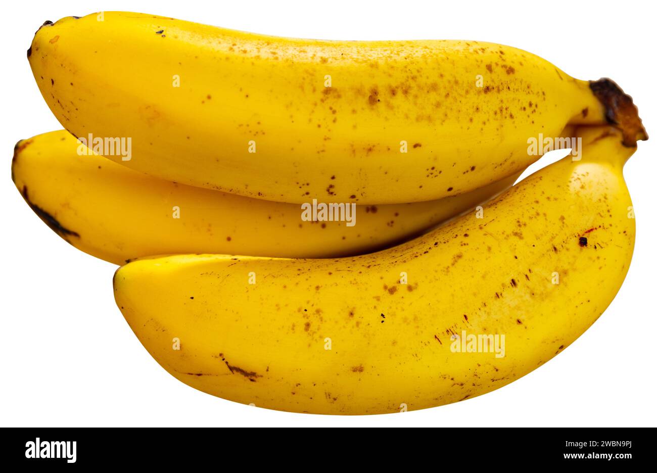 Image of bananas Stock Photo
