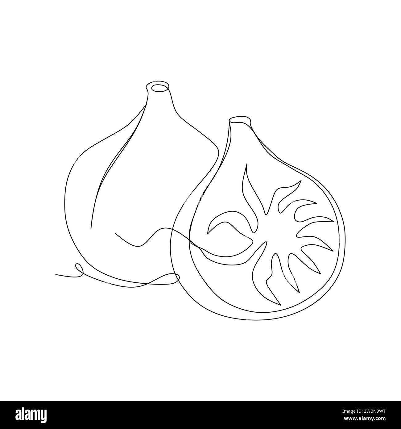 Continuous one single line drawing of fig fruits icon vector illustration concept Stock Vector