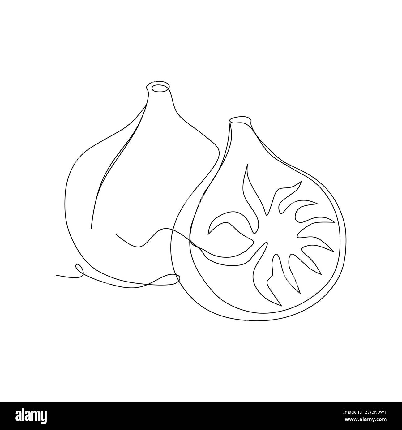 Continuous one single line drawing of fig fruits icon vector