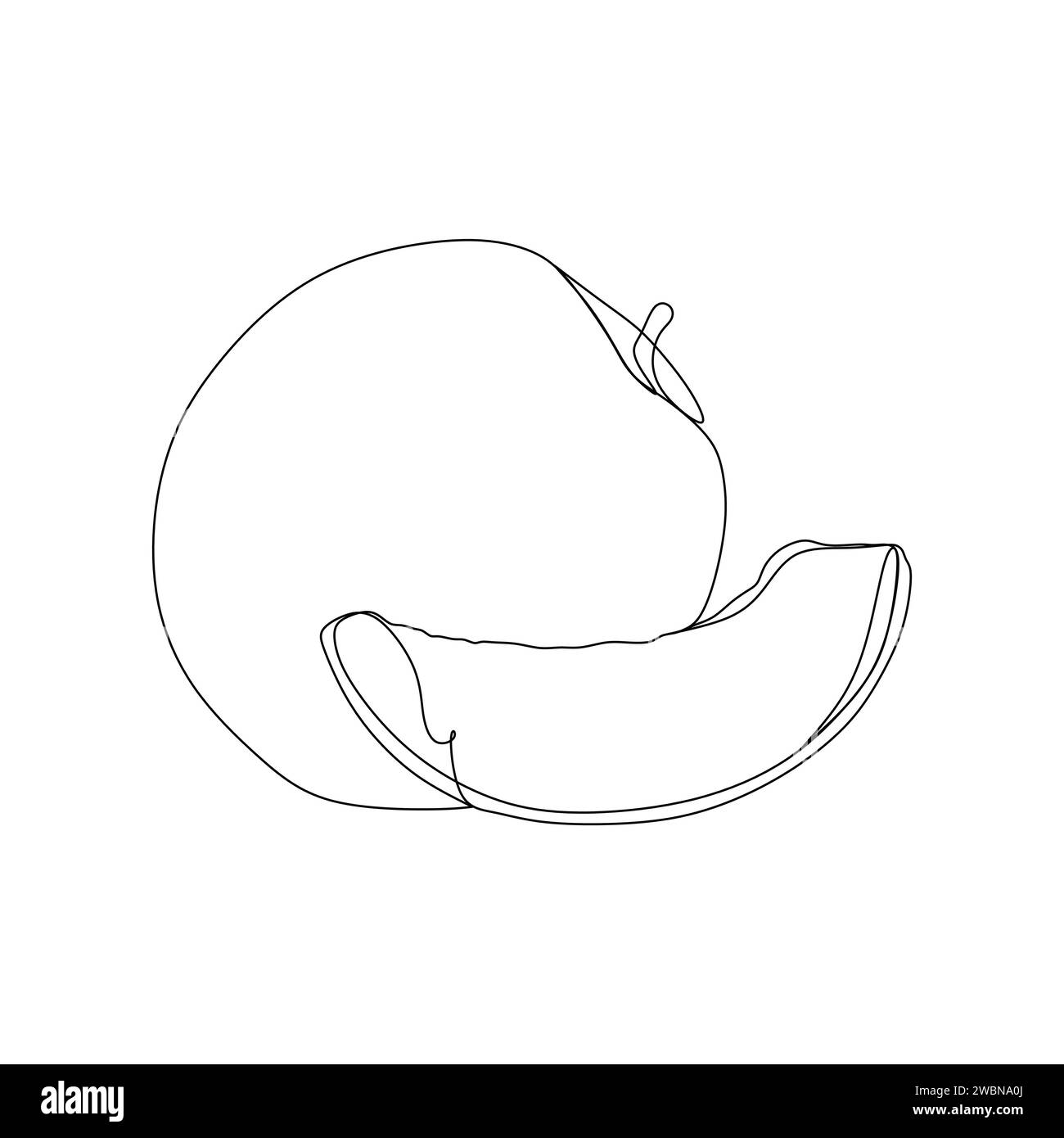 Continuous one line drawing of a mandarin. Vector illustration for food and nature design element or concept Stock Vector