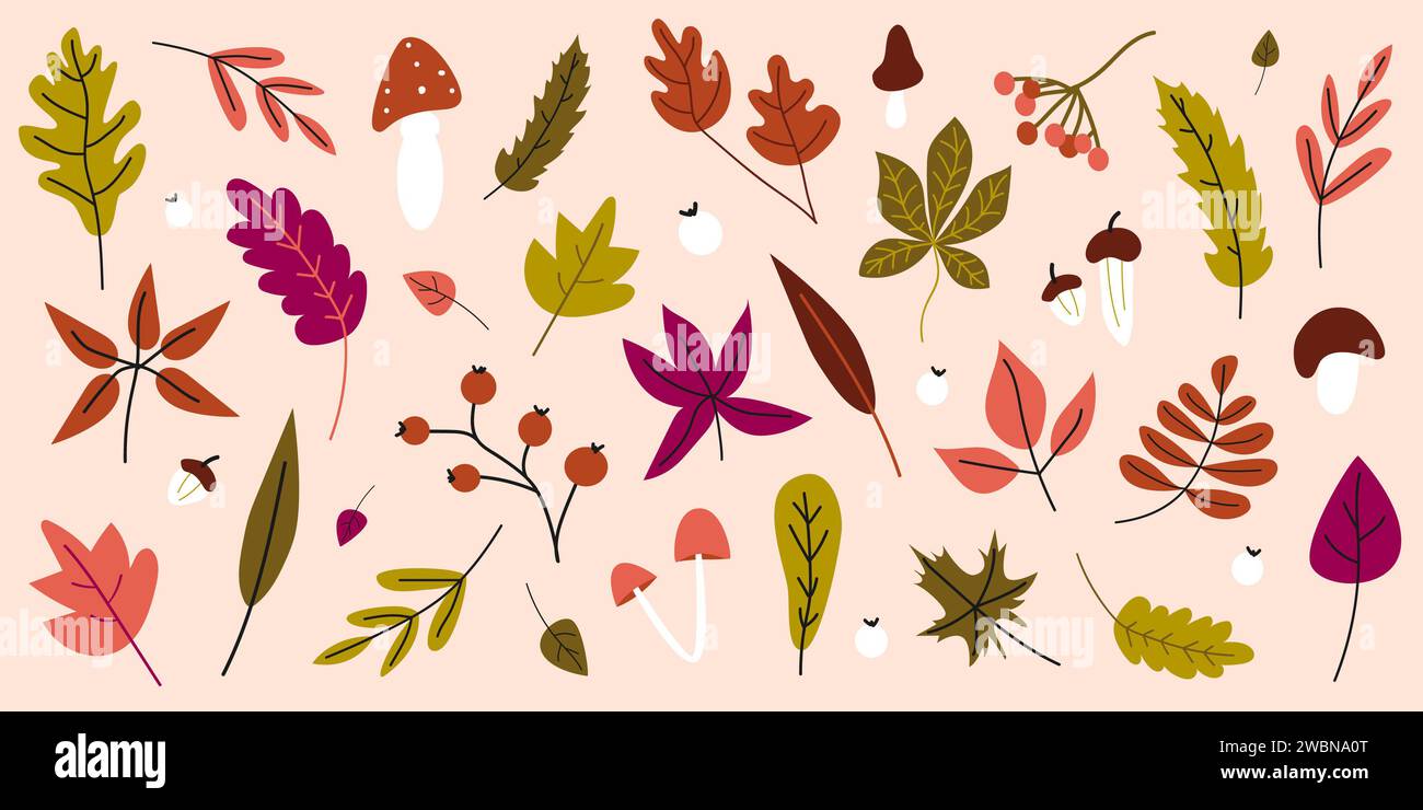 Hand drawn set of leaves. Vector fall elements. Leaves, mushrooms, acorns, maple leaves isolated on pink background. Autumn collection of different le Stock Photo