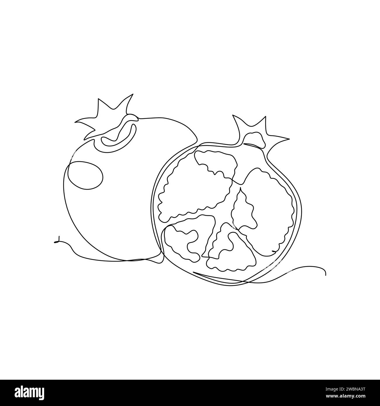 Continuous one single line drawing of pomegranate fruit icon vector illustration concept Stock Vector