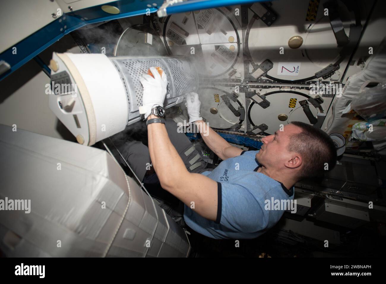 Expedition 62 Flight Engineer Andrew Morgan retrieved gut microbe ...