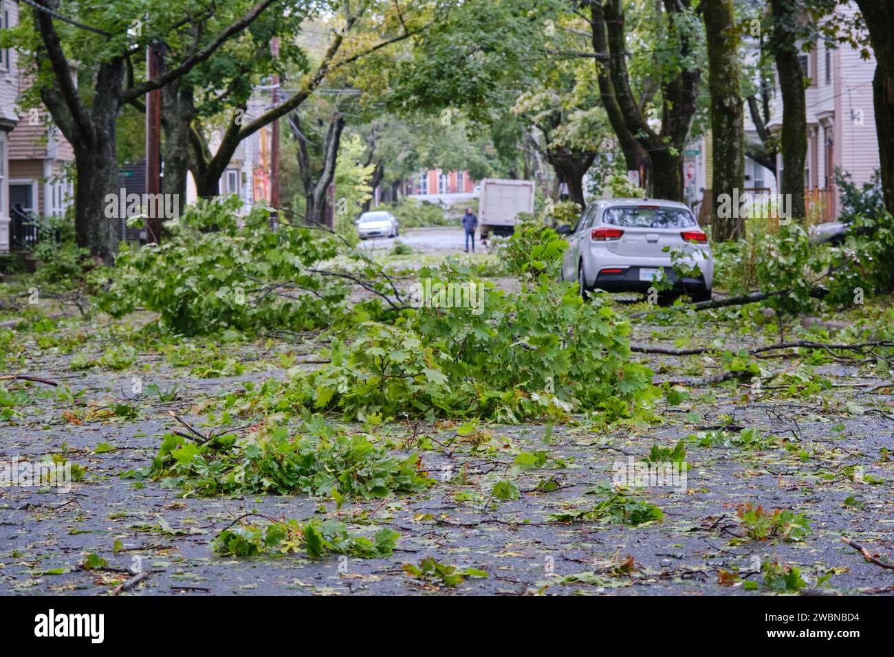 Halifax, Nova Scotia, Canada. September 24th, 2022.  Tree damage all over the street of North End area of Halifax following the passage of Hurricane Fiona.  The Hurricane with winds up to 135 km/h in the area left considerable tree damages, and major damage to the power grid with an estimated 80% of population of province without power at the time Stock Photo
