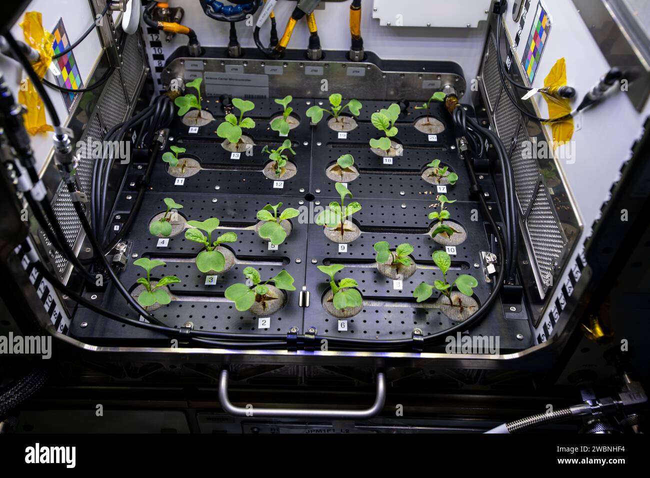 Habitat modules hi-res stock photography and images - Alamy