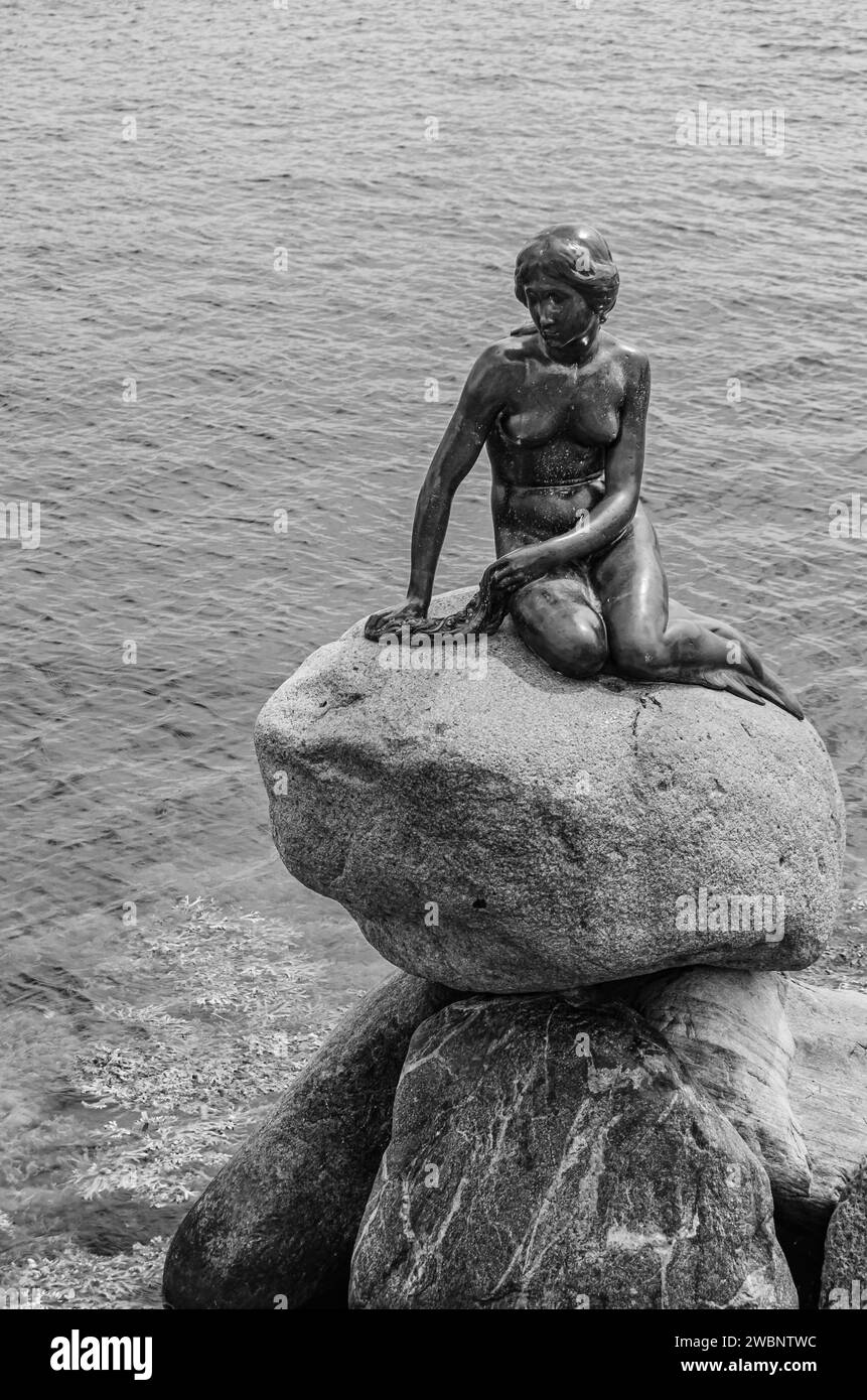 COPENHAGEN, DENMARK - JULY 8, 2014: The Little Mermaid, bronze statue by Edvard Eriksen, displayed on a rock by the waterside, is a Copenhagen icon an Stock Photo
