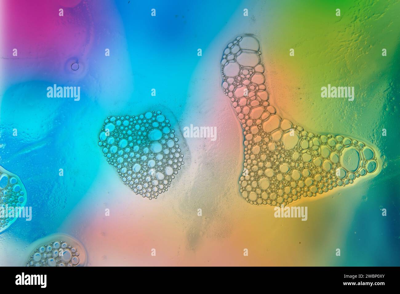 Multicolored blurry pattern from water color bubbles. Background design Stock Photo