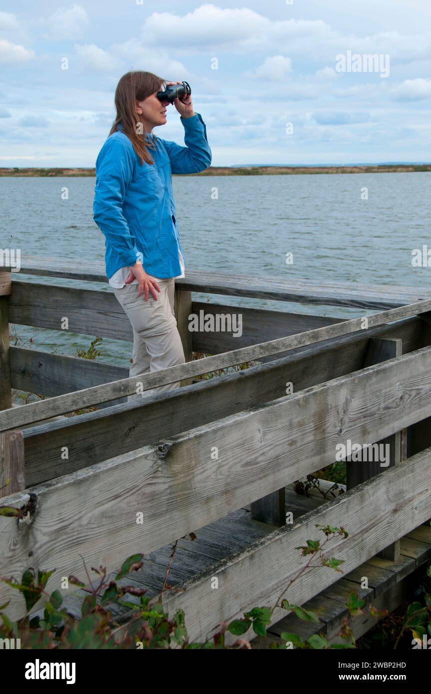 Observation platform on Osprey Point, Trustom Pond National Wildlife Refuge, Rhode Island Stock Photo