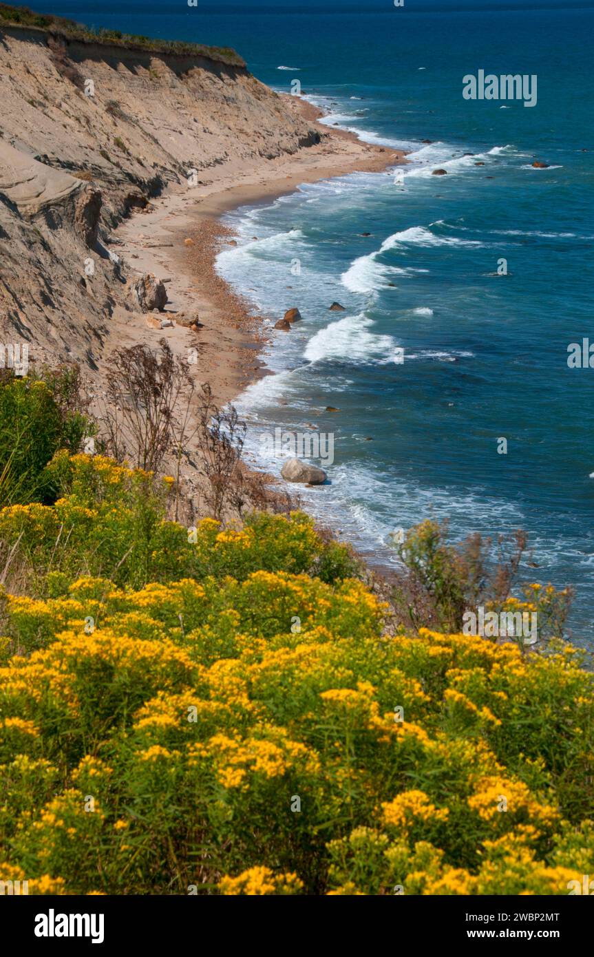 Coastal scrub to beach cliff at Clay Head, Clay Head Preserve, Block Island, Rhode Island Stock Photo