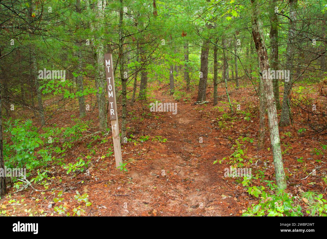 Mount Tom Trail Arcadia Management - Mount Tom Trail Arcadia Management Area Rhode Island 2WBP2WT 