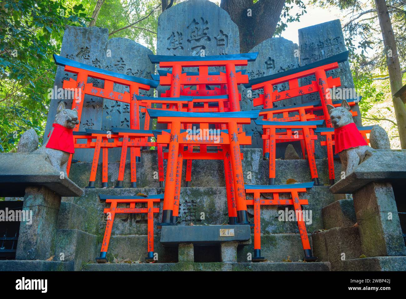 Cherry blossom fushimi inari taisha shrine hi-res stock photography and ...