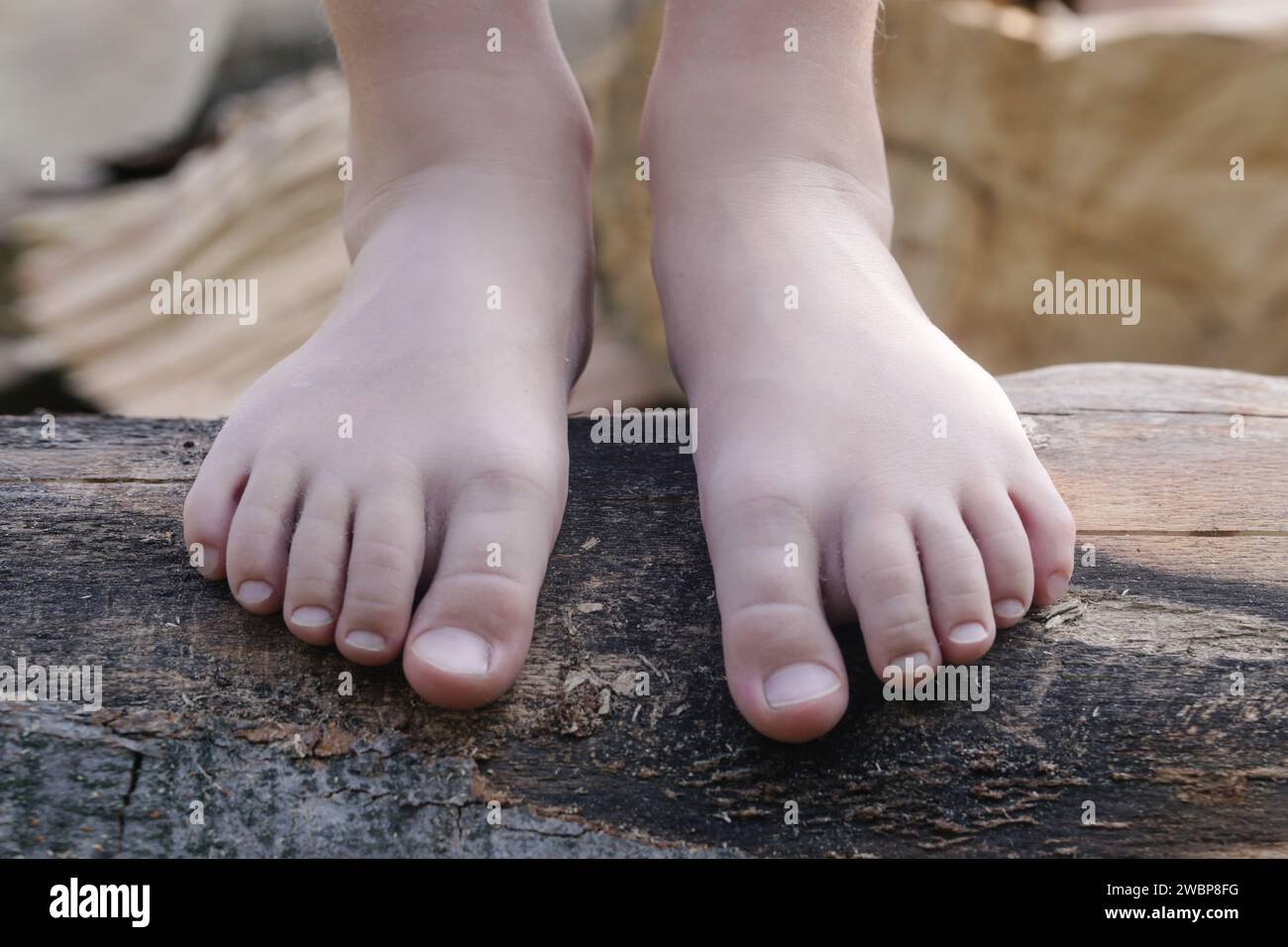 Child feet on wood log, barefoot little girl on tree trunk, countryside lifestyle, concept of grounding and connecting with nature Stock Photo