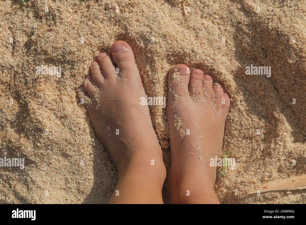 Child's feet standing on sawdust. Sensory perception, sensitivity and flat feet problem in children Stock Photo