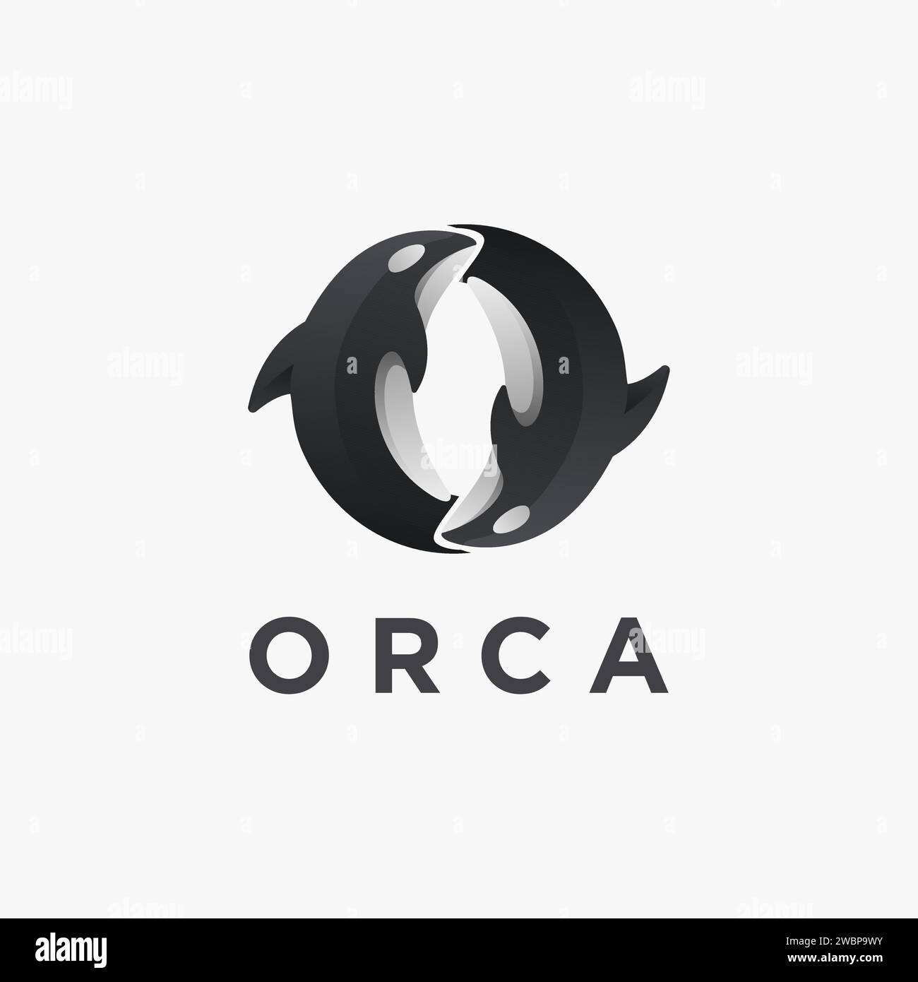 Modern couple of orca killer whale logo icon vector on white background ...