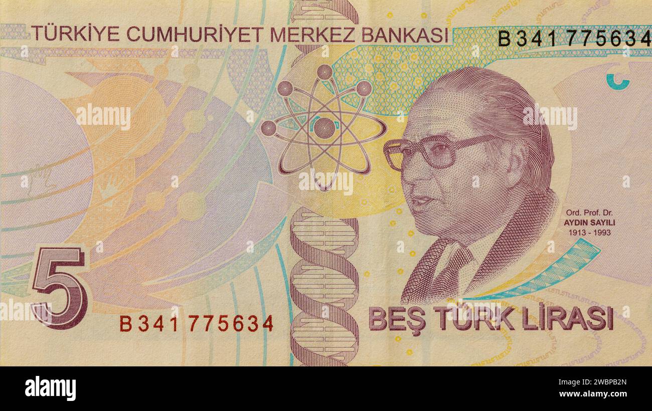 Turkish money five lira banknotes national currency banknote back view Stock Photo
