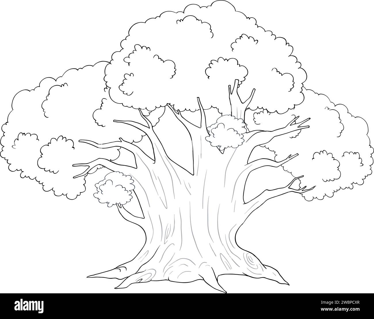 Black and white line drawing of a large tree Stock Vector Image & Art