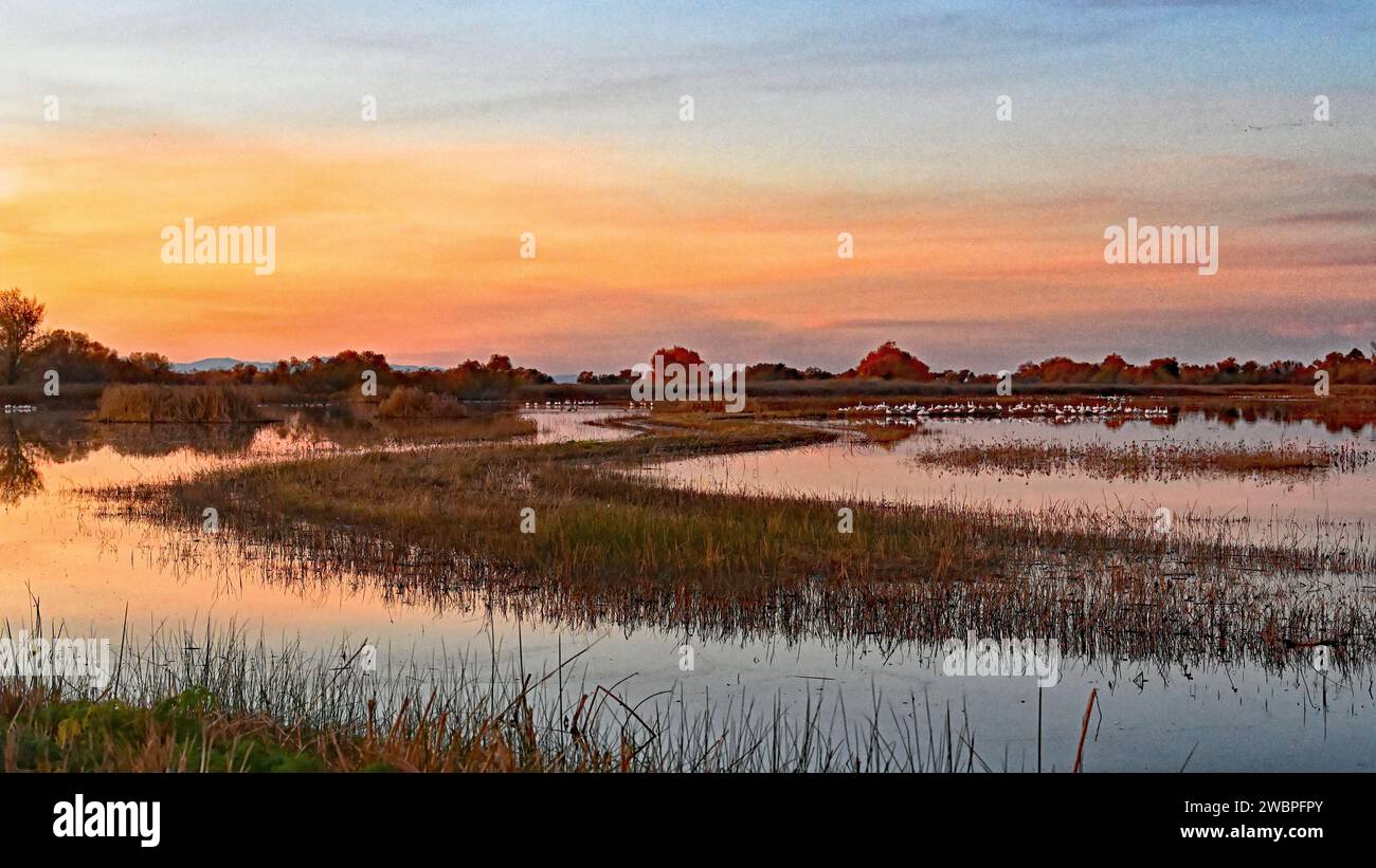Sunset and beautiful Landscapes Over San Luis Wetland Stock Photo