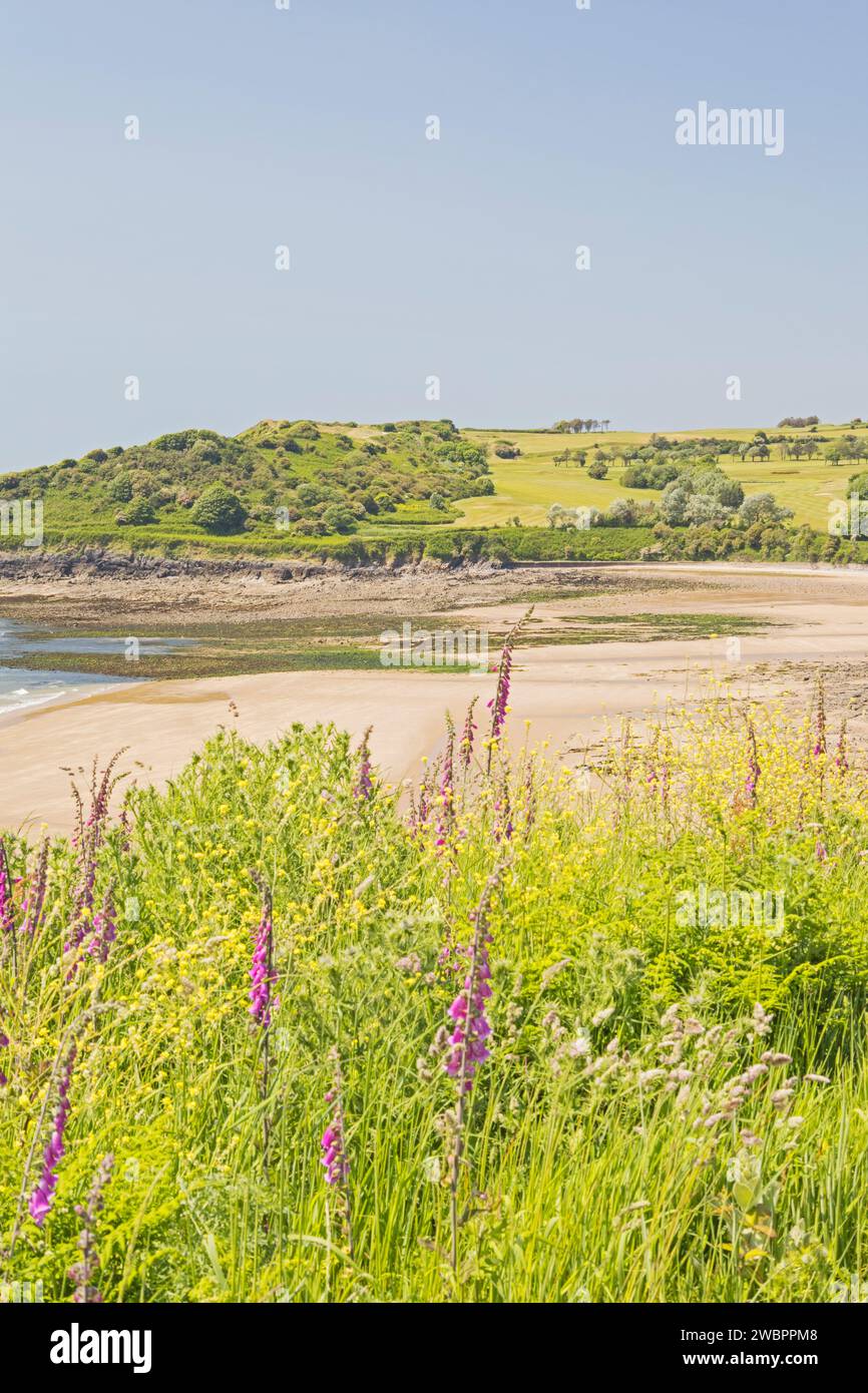 Langland Bay, Gower Peninsula, Swansea, South Wales, UK Stock Photo Alamy