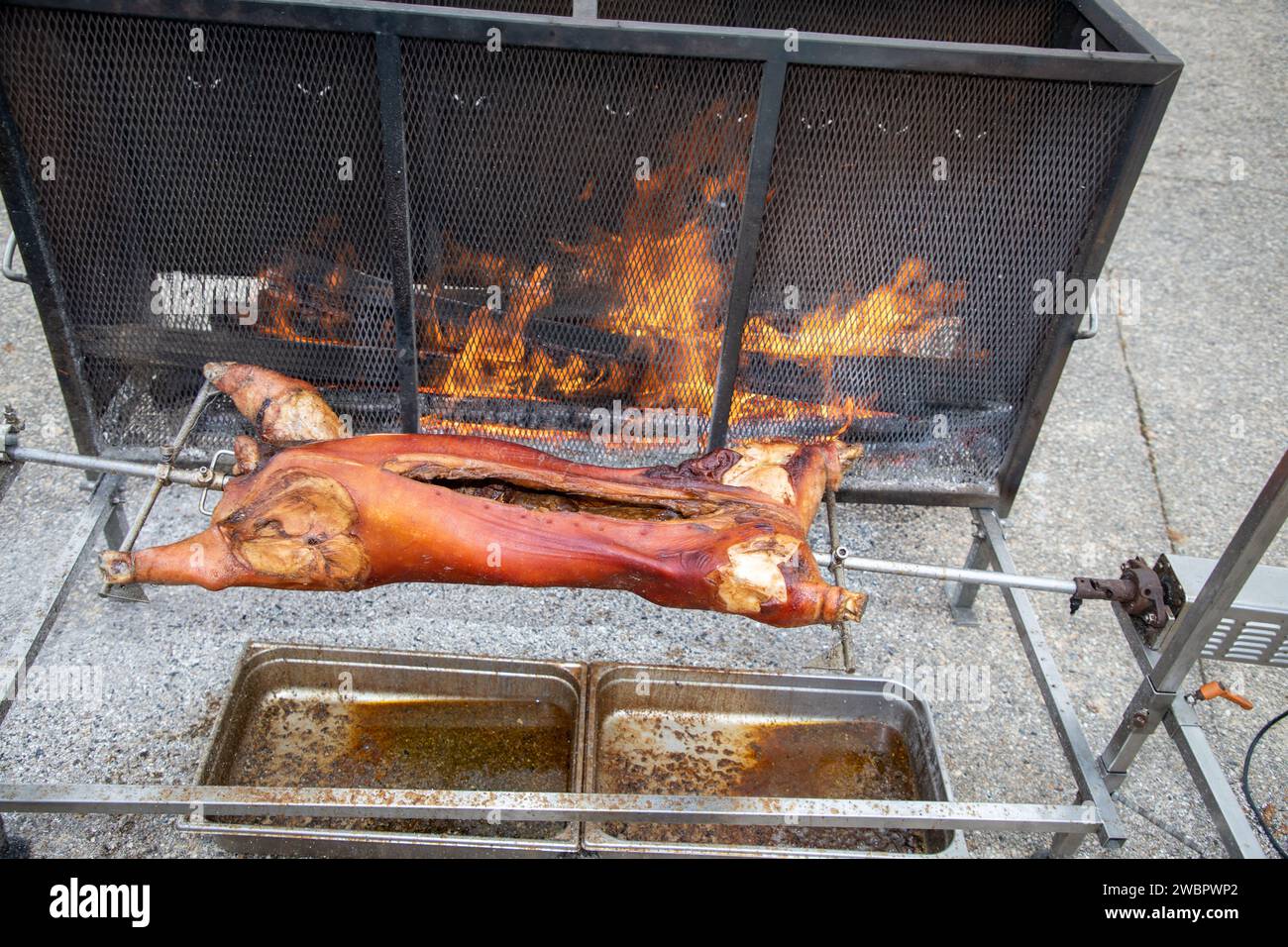 Pig on a spit piglet suckling fire roast grill barbecue bbq cook pork meat food meal dinner Stock Photo