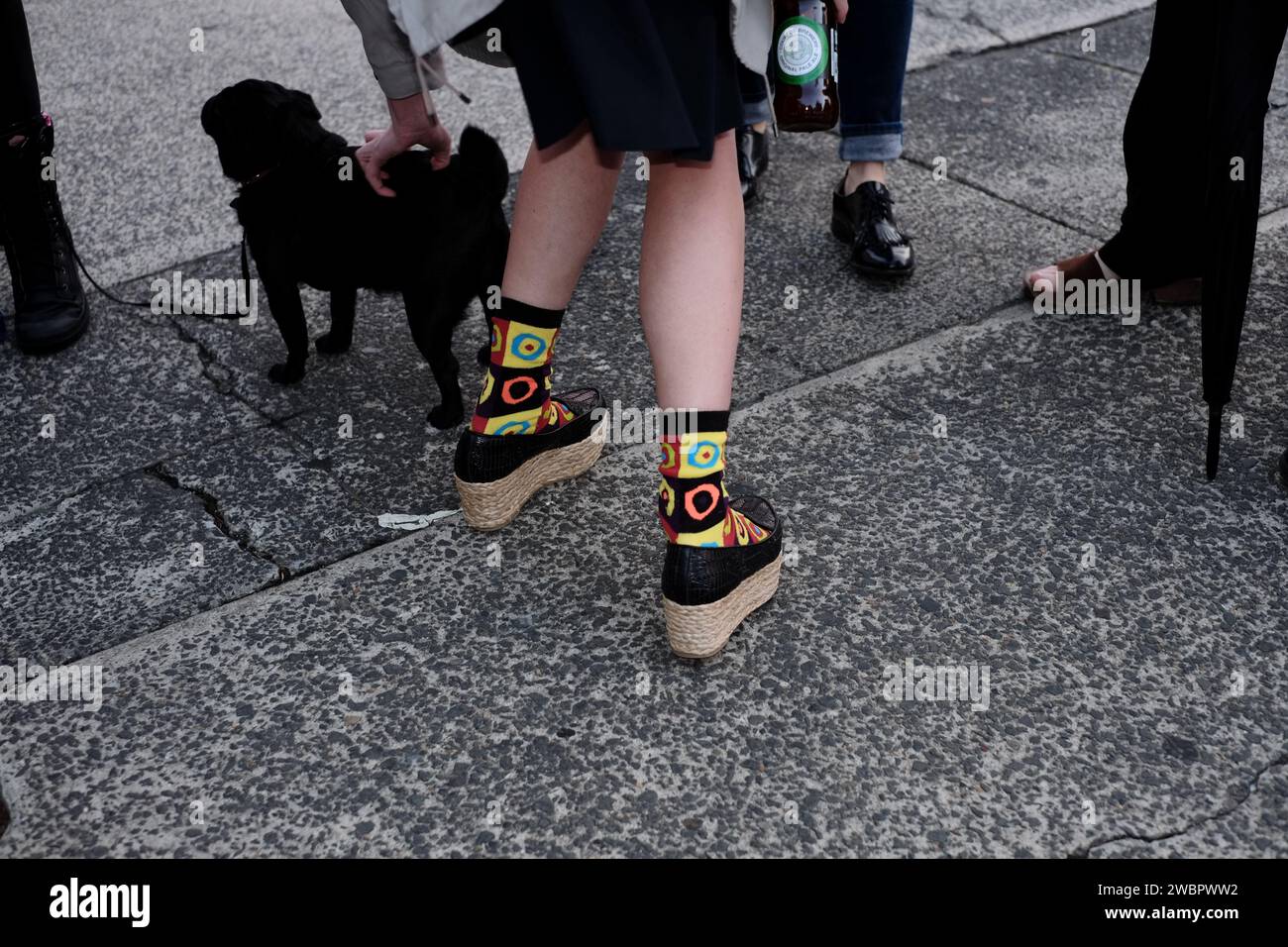Espadrille wedge slip-ons with bright, circle and square multi-coloured socks, legs and shoes, friends, a black pug dog on a concrete pavement Stock Photo
