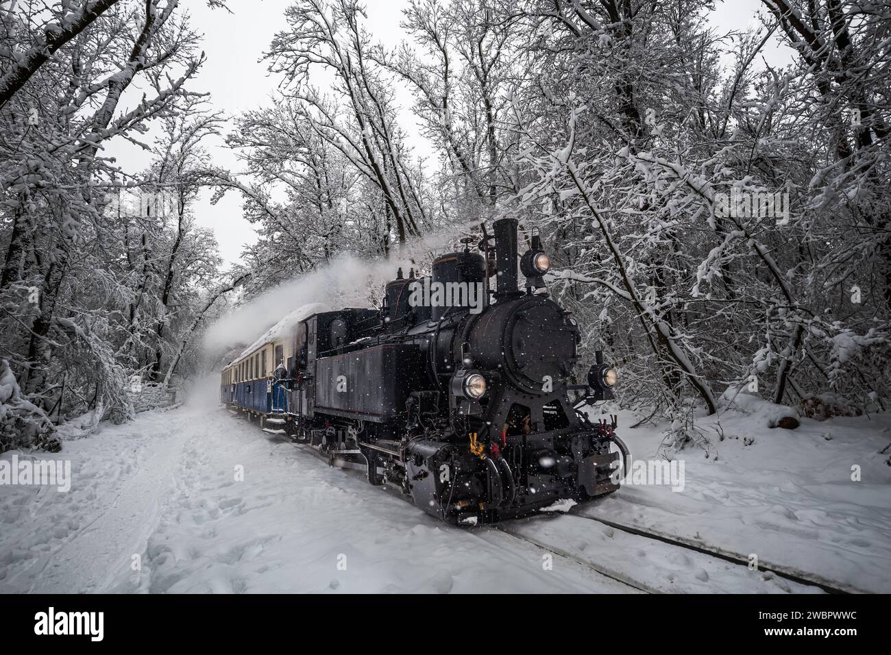 Budapest, Hungary - Beautiful old nostalgic tank engine (children's train) on the track of the snowy forest of Buda Hills near Csilleberc on December Stock Photo
