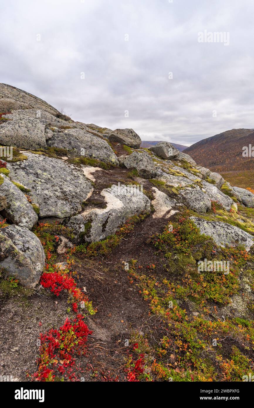Valley S With Rounded Rocks Glacier rounded stone hi-res stock photography and images - Alamy
