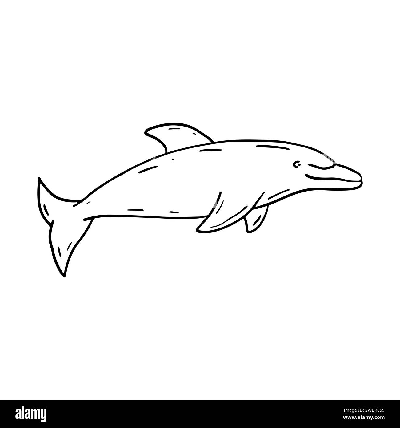 Dolphin vector line drawing illustration - Stock Illustration [102810651] -  PIXTA