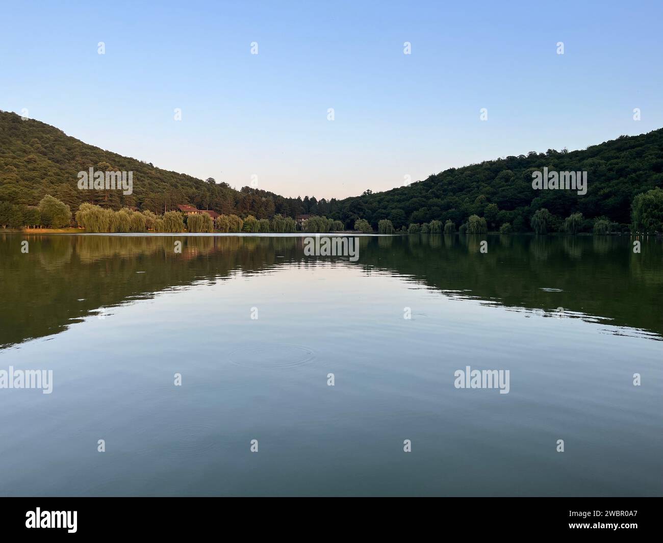 An idyllic natural landscape with a tranquil lake surrounded by lush green forest Stock Photo