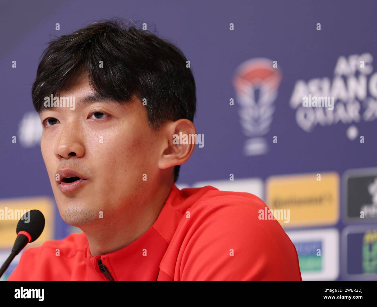 Doha, Qatar. 12th Jan, 2025. Yan Junling of China attends a press