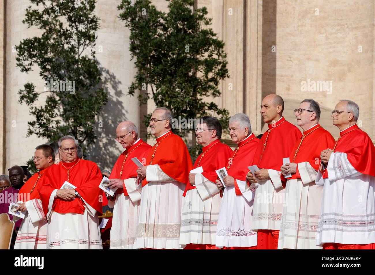 New cardinals attend the consistory for their elevation in St. Peter