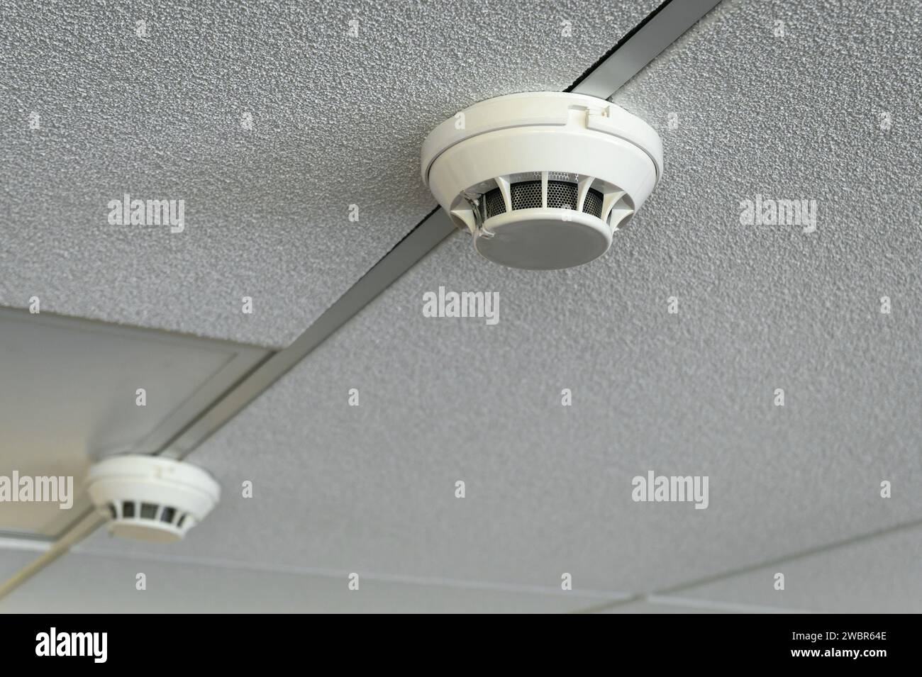 Fire alarm sensors on suspended ceiling Stock Photo Alamy