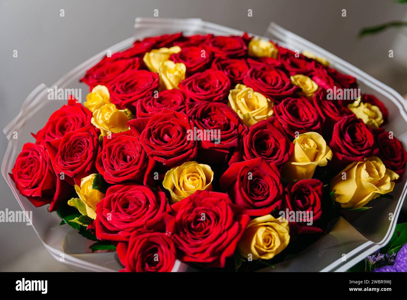 An elegant bouquet of fresh red and yellow roses, symbolizing love and ...