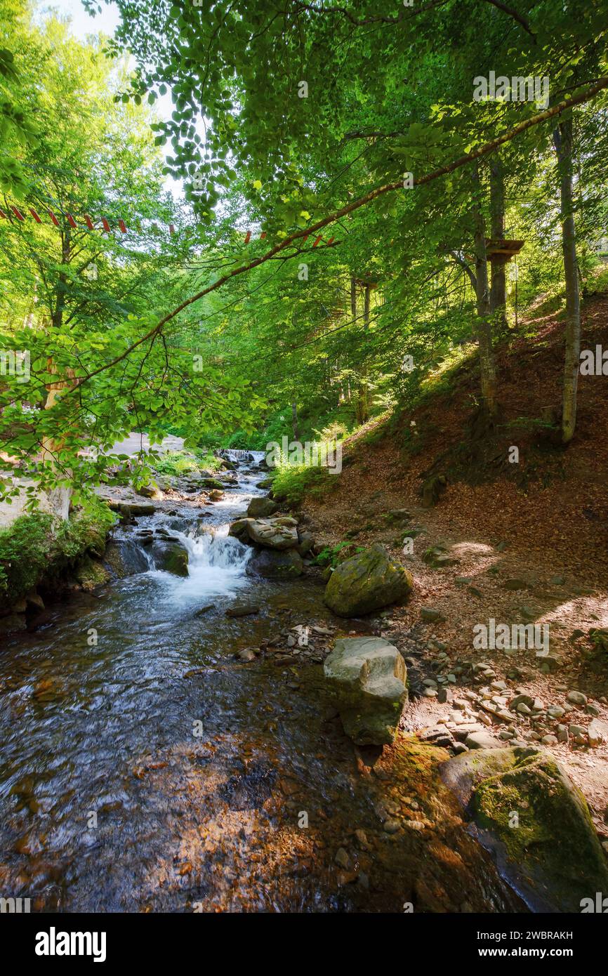 shypit water stream of pylypets river in the beech forest of carpathian mountains. scenery with small cascades and stones. sunny morning in summer Stock Photo