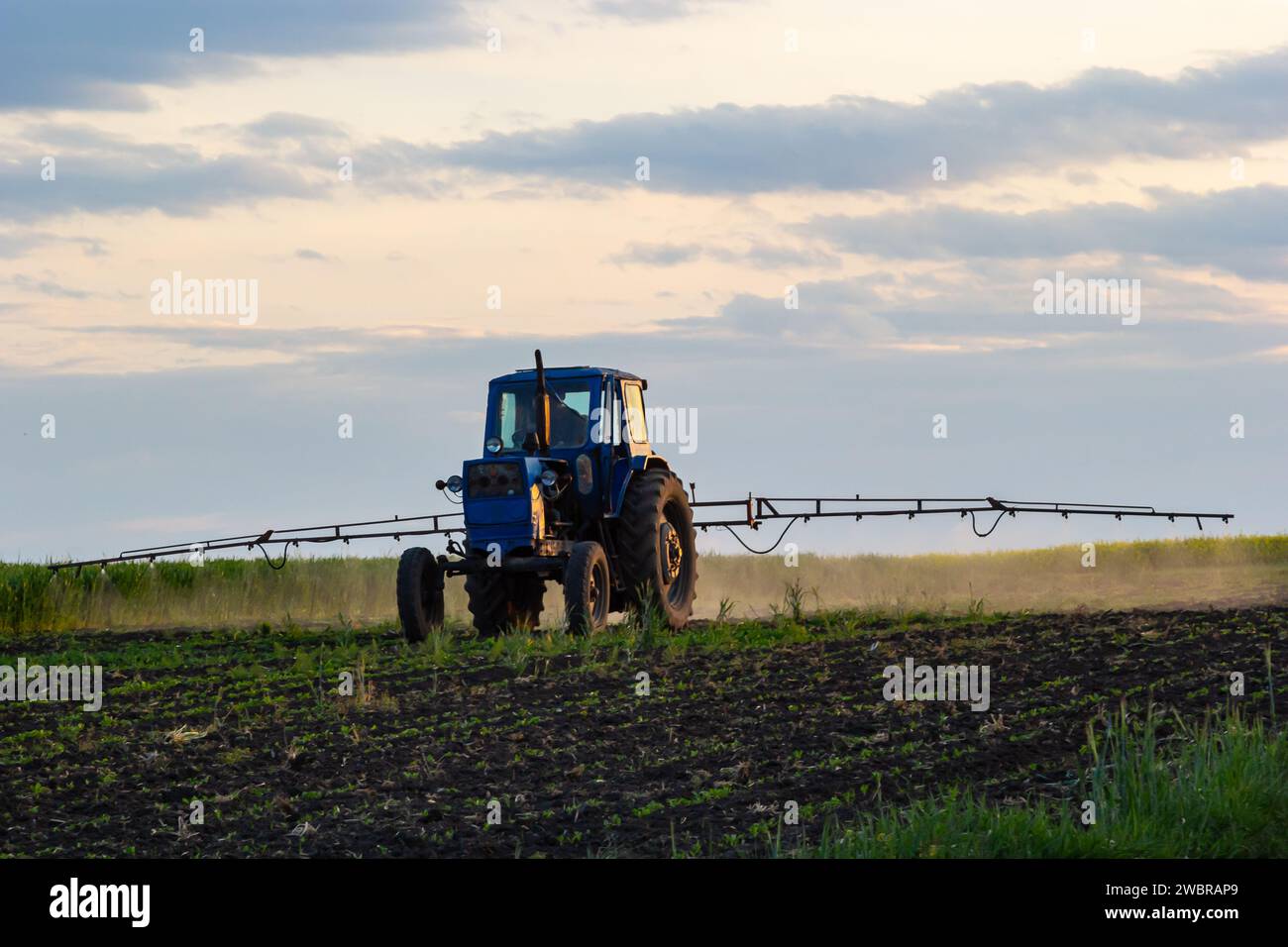 Tractor spraying pesticides on vegetable field with sprayer at spring. Stock Photo