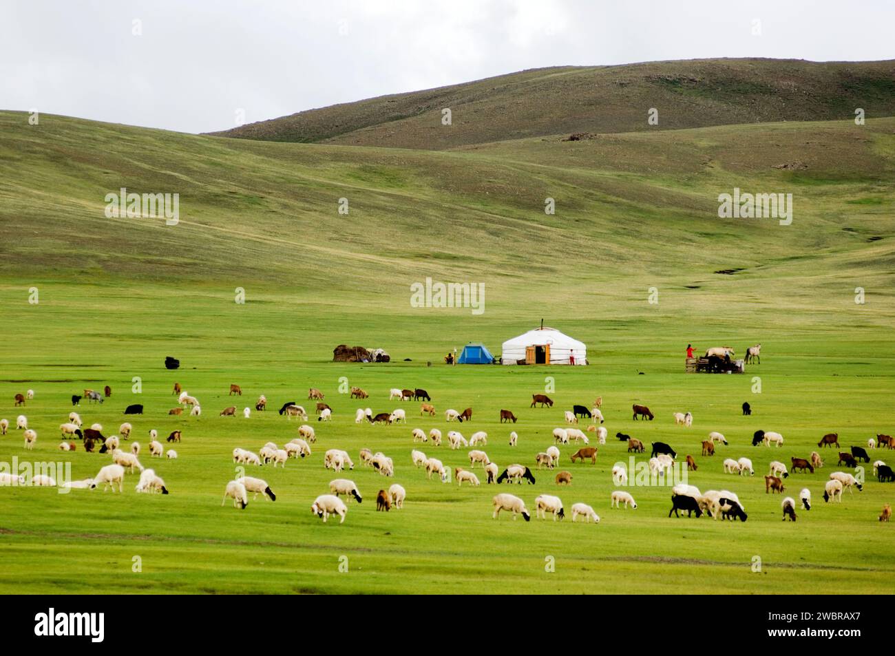 Nomads, Bogd Khan National Park, Mongolia Stock Photo