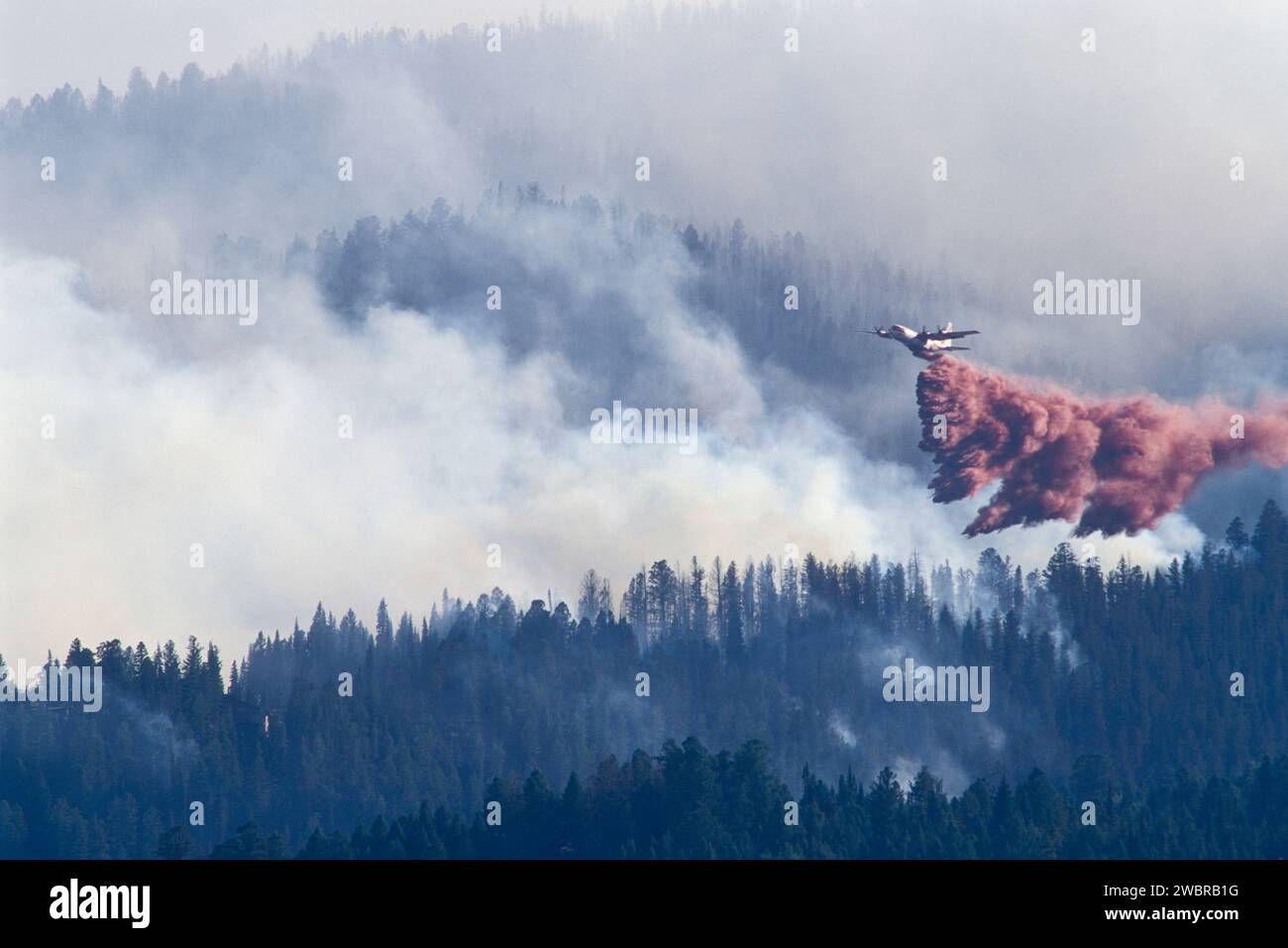 Bomber drops retardant on forest fire. Stock Photo