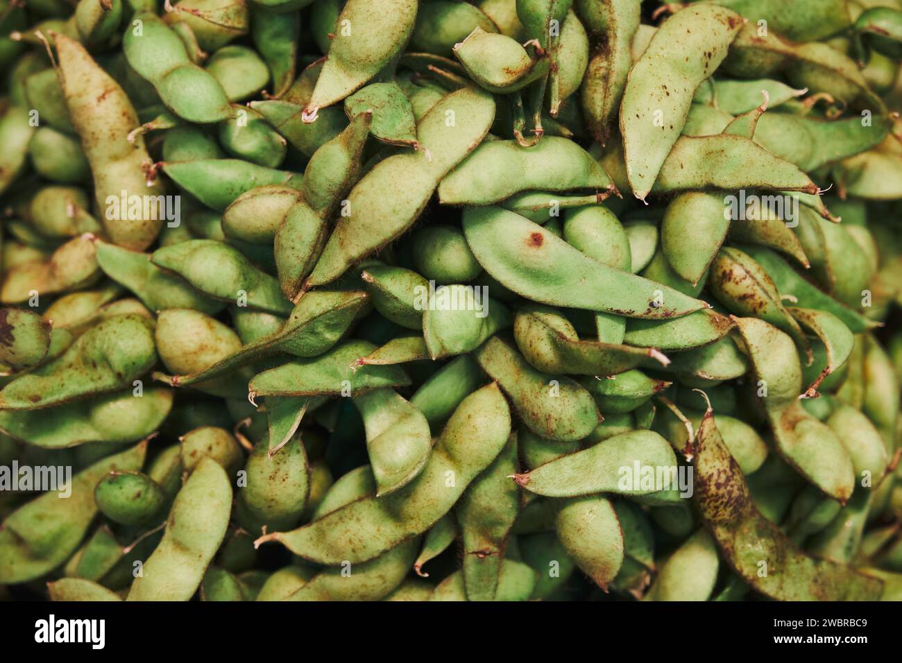 Fresh Edamame for Sale at Nishiki Market in Kyoto Stock Photo Alamy