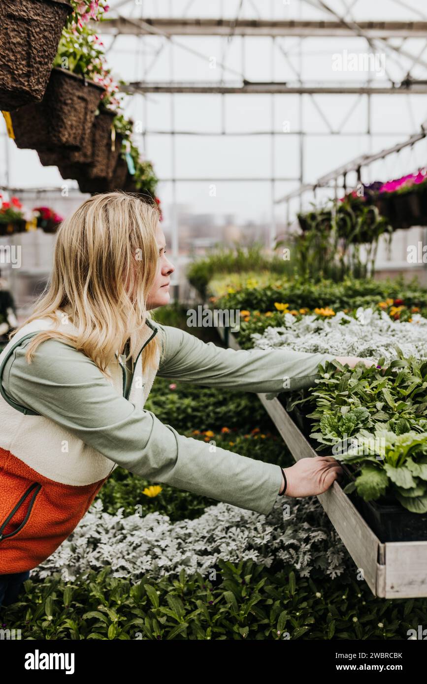 Greenhouse plant hi-res stock photography and images - Alamy
