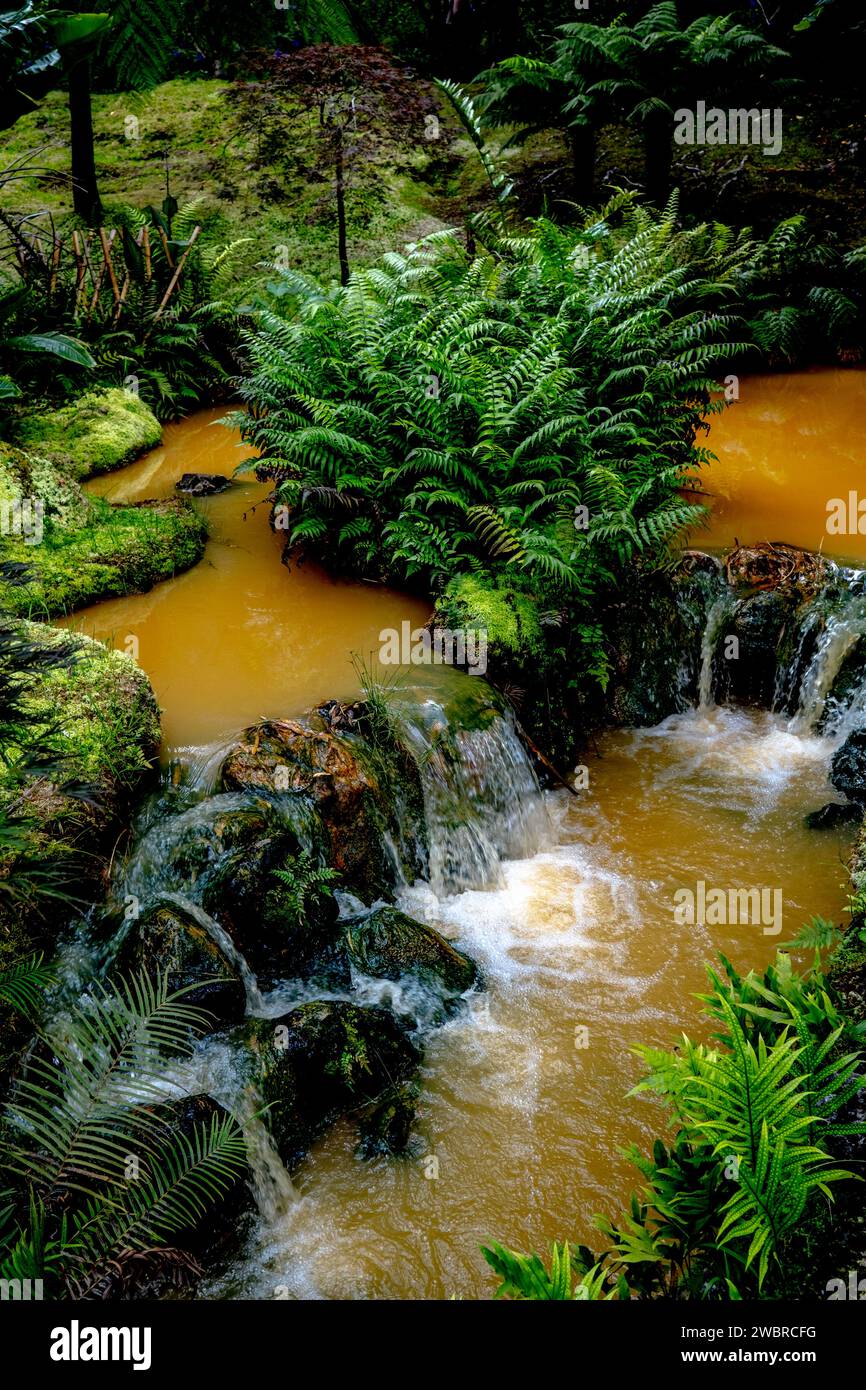 Botanical gardens of Ponta Delgada, Azores Stock Photo - Alamy
