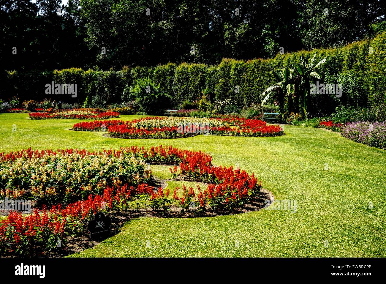 Botanical gardens of Ponta Delgada, Azores Stock Photo - Alamy