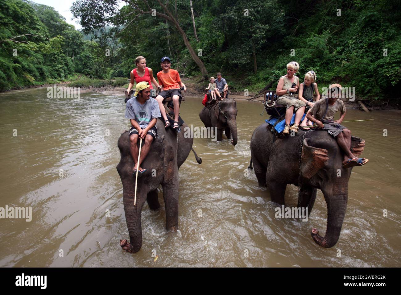 Thailand, Chiang Mai  province; Tourists having an elephant ride. Stock Photo